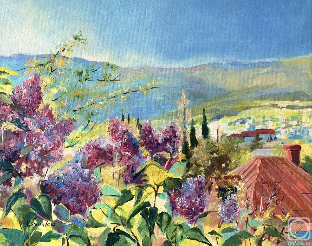 ������� ������ �� ������. ������-����� �����. ������� �����