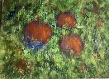 ������� ���������