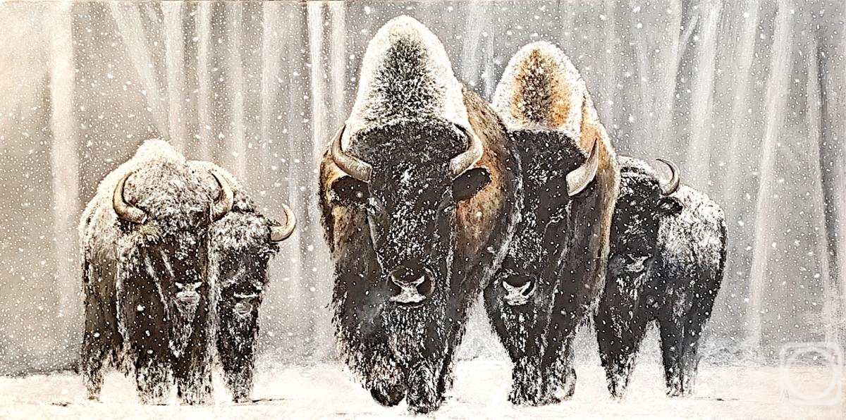 Litvinov Andrew. Untitled