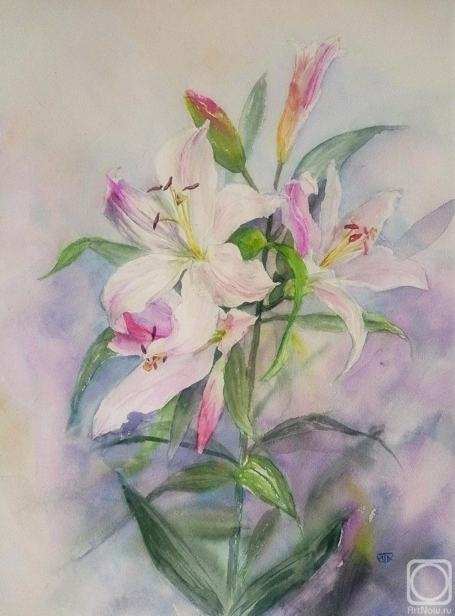 �������. �������� �����. �����