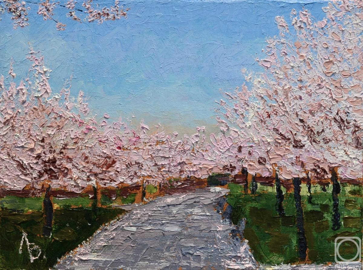 ������� ������ �� ������. ������� ��������. ����� ������