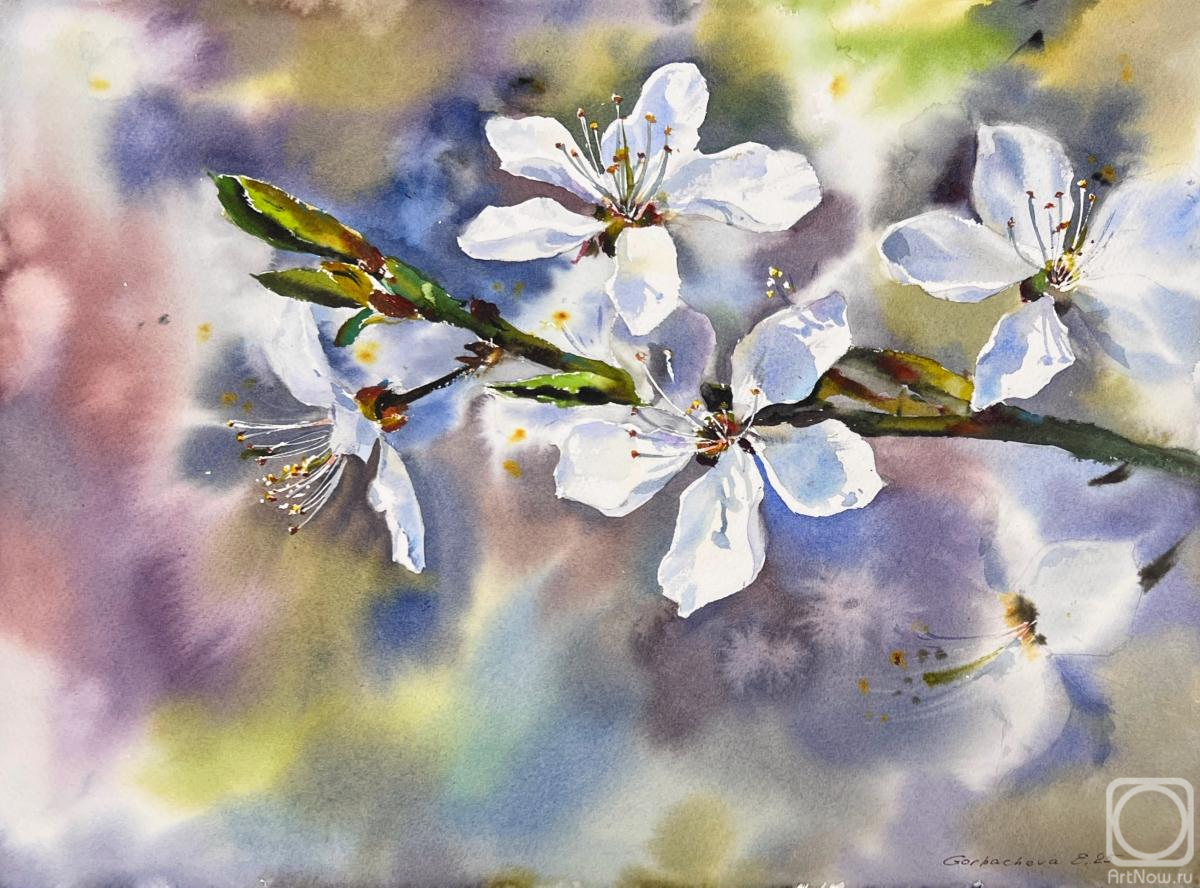 �������. ��������� �������. ������ ������