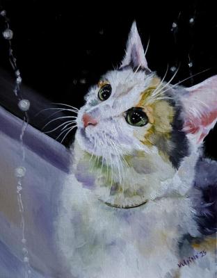 Cat Hinata. Elpanova Anna