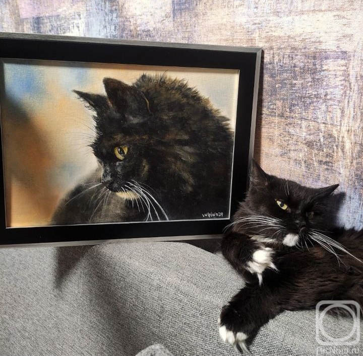 ������� ������ �� ������. �������� ����. ������ ���