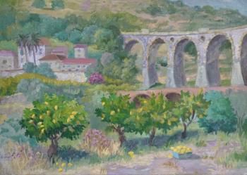 ������� ���������