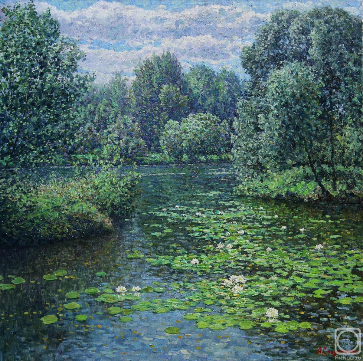 ������� ������ �� ������. ���������� ������. ������ ������