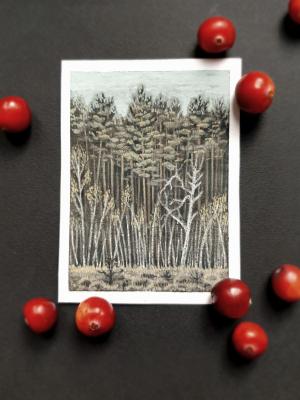 ������� ������ (Minikartiny). ������� ������