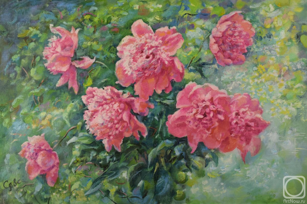 ������� ������ �� ������. ��������� �������. �����