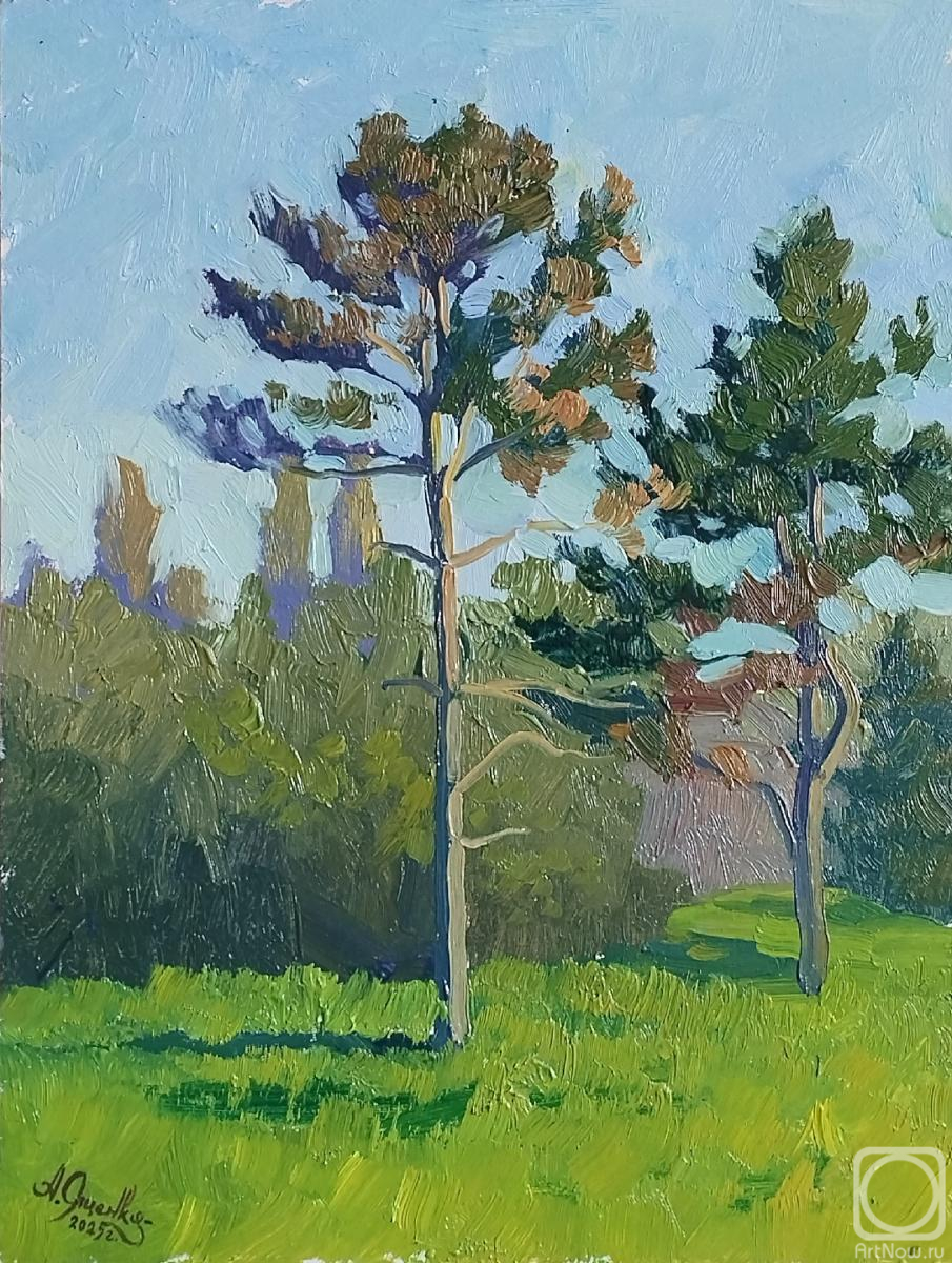 �������. ������ �����. �������� ���� � �������