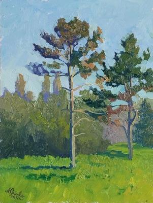 ������� ��������� ���� � �������