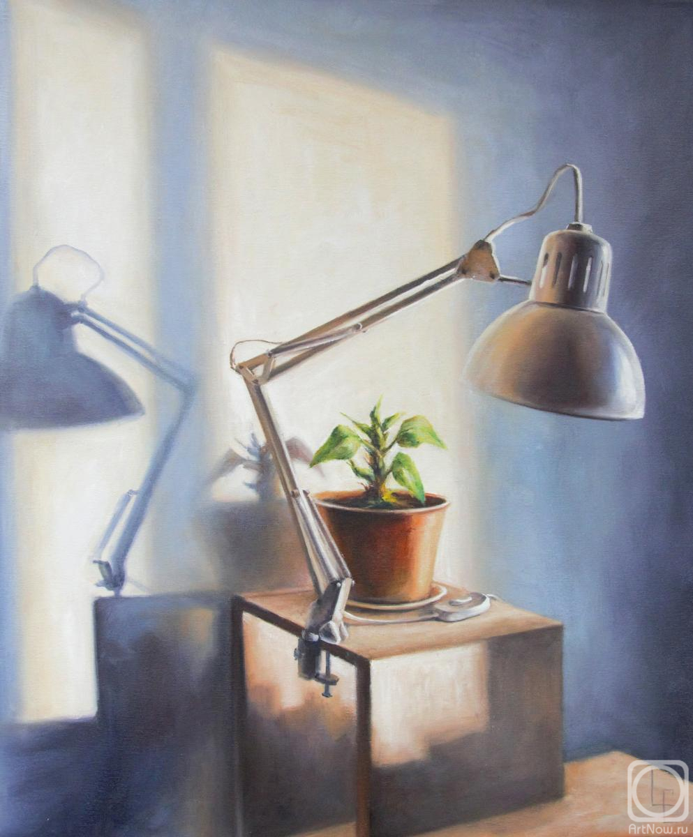 ������� ������ �� ������. ������ ���������. ����