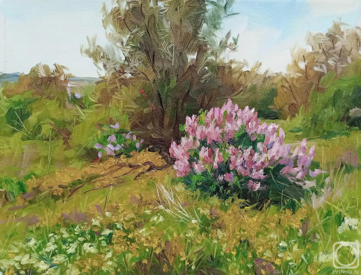 ������� ������ �� ������. ������� ��������. ��������