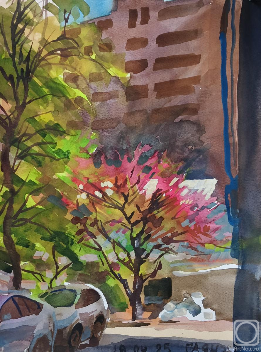 �������. ������������� �����. ������, �����, ����