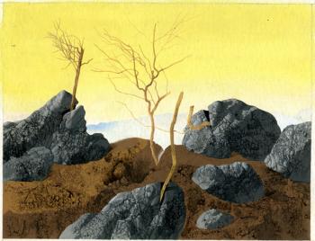 The trees growing on stones. Suleymanov Michael