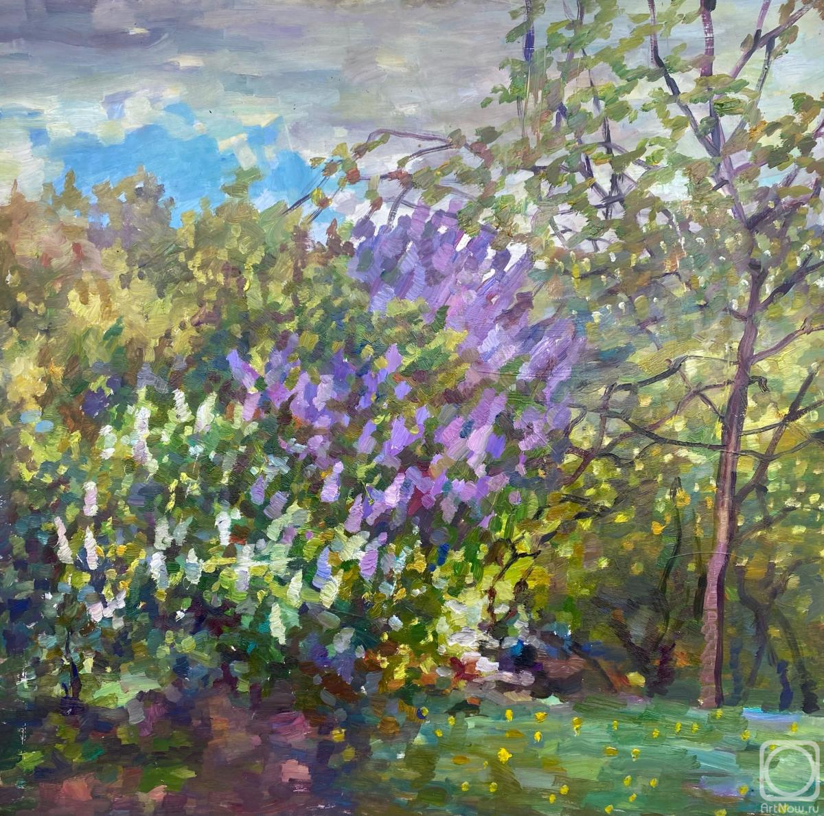 �������. ������ ��������. ����� ������