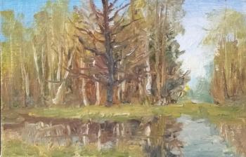 ������� ���� � ���