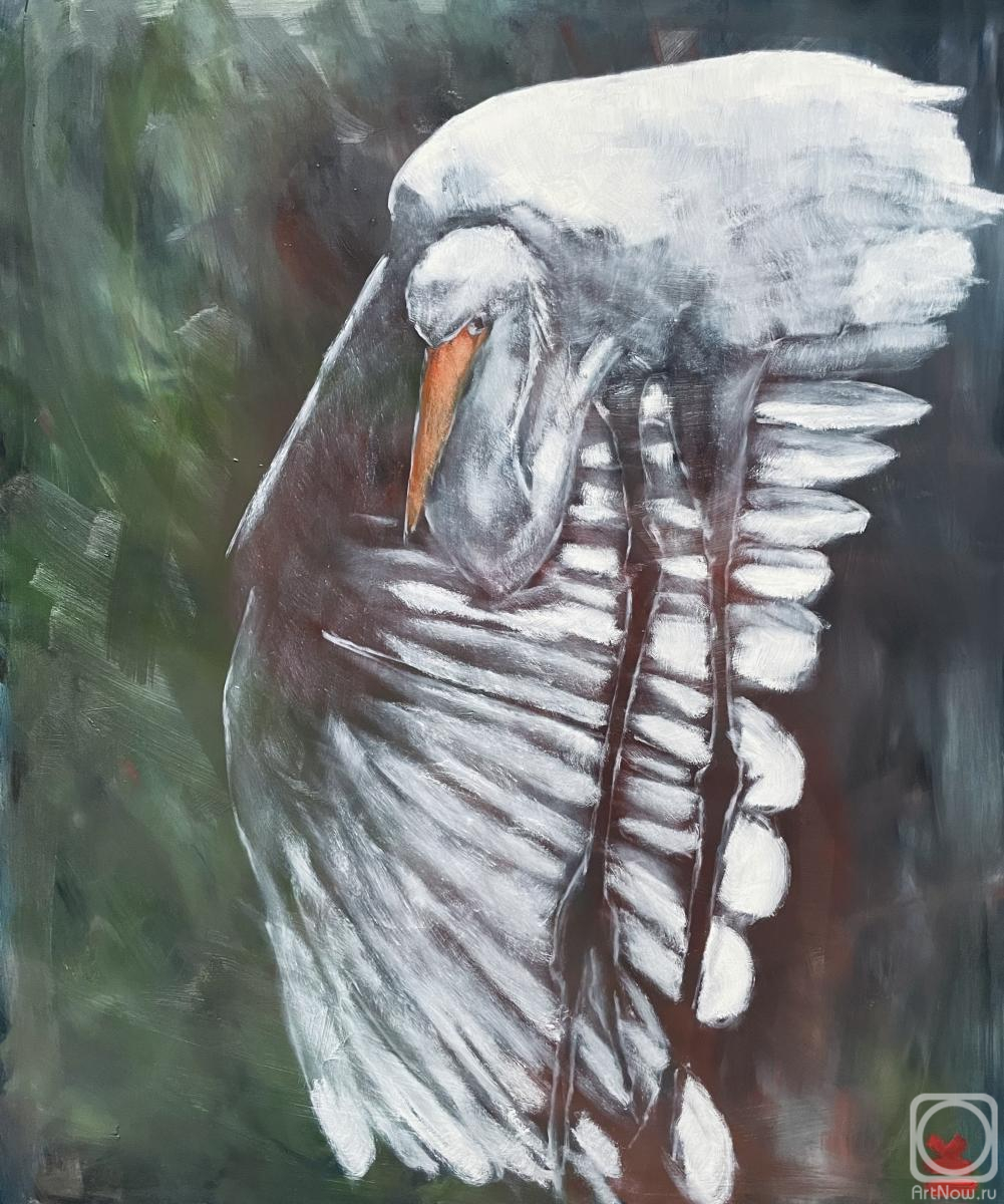 ������� ������ �� ������. ������� �����. ���� � ����