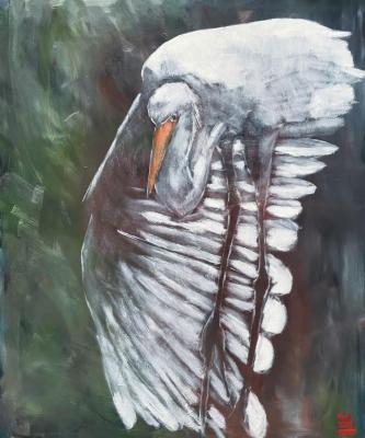 ������� ����� � ����