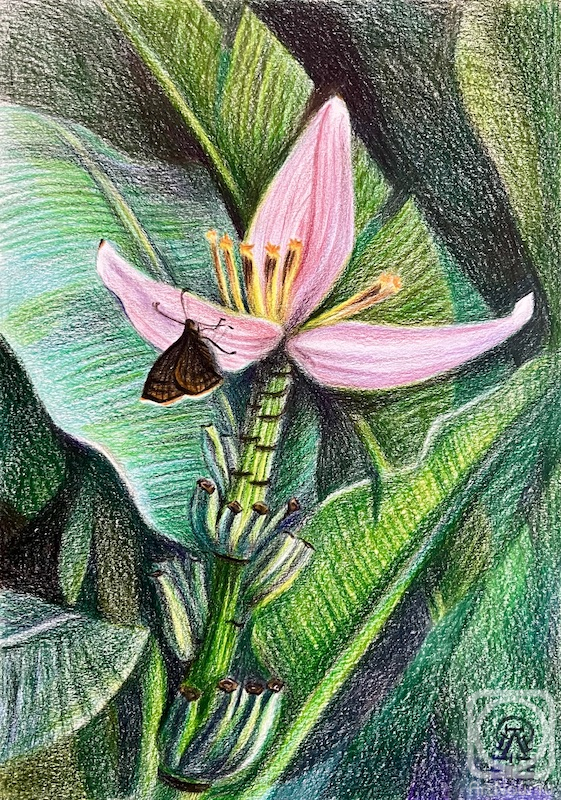 �������. �������� ������. ������. ������ ������