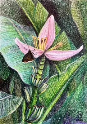 ������. ������ ������. �������� ������