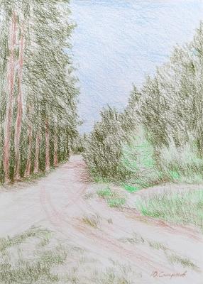 Road in the forest