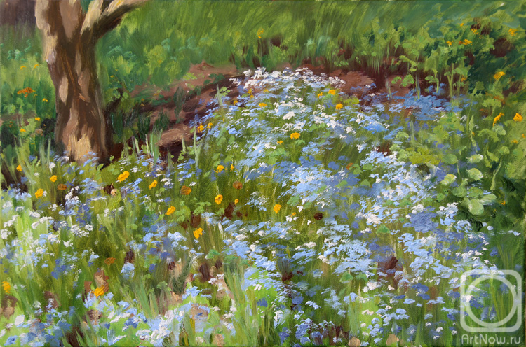 ������� ������ �� ������. ��������� �����. ���������