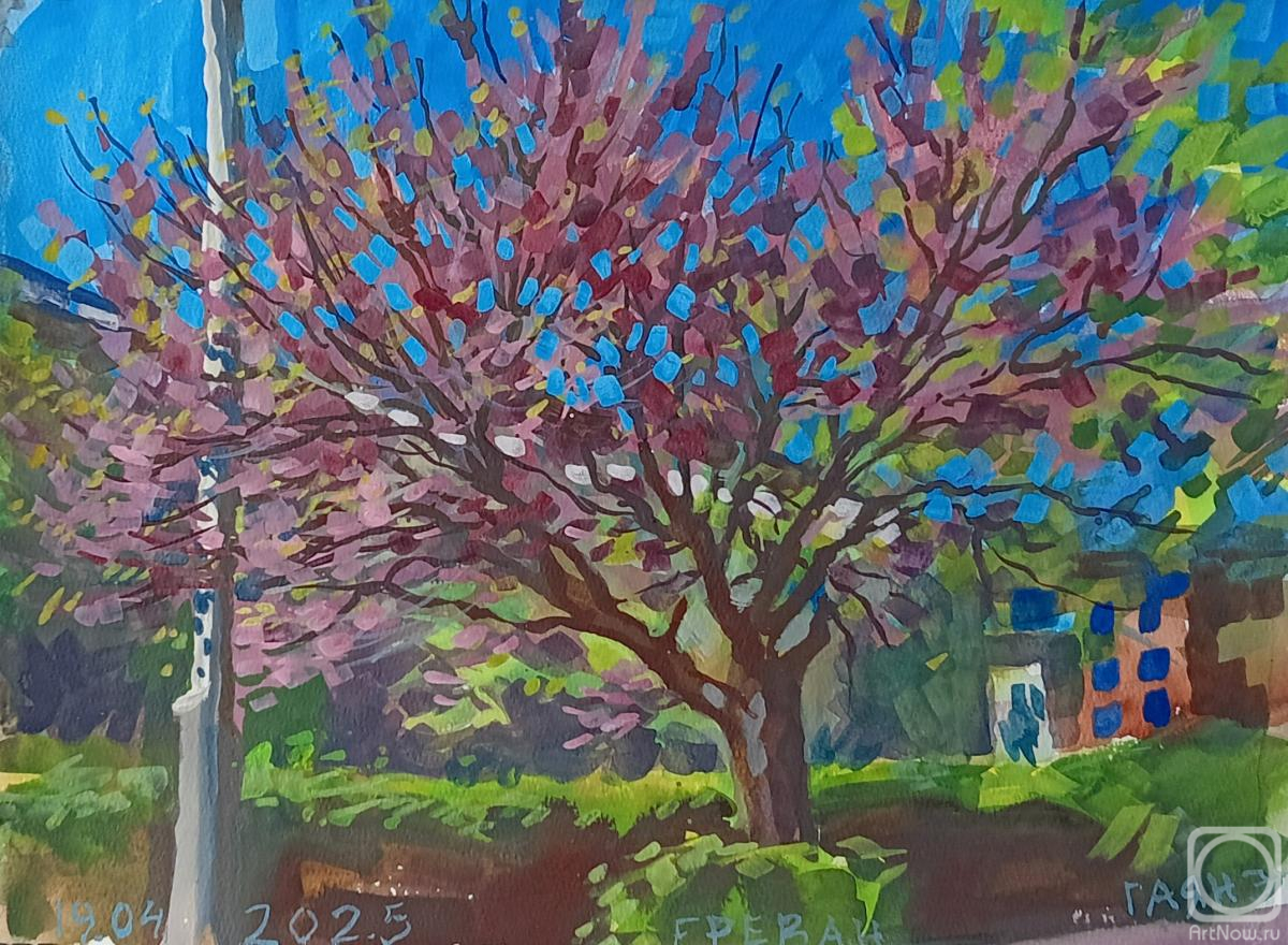 �������. ������������� �����. ������, �����