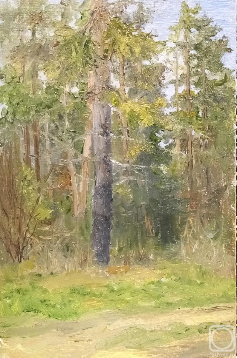 �������. ������� ������. ������ � ������� ����