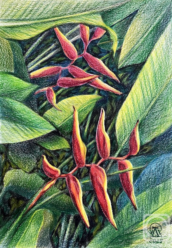 �������. �������� ������. ������. ���������