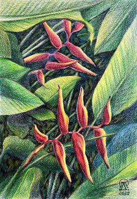 ������� �������. ����������