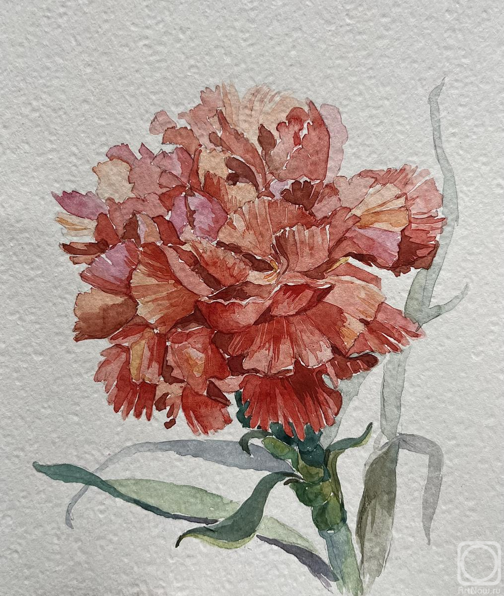 �������. ���������� �������. ��������