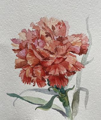 ������� ���������