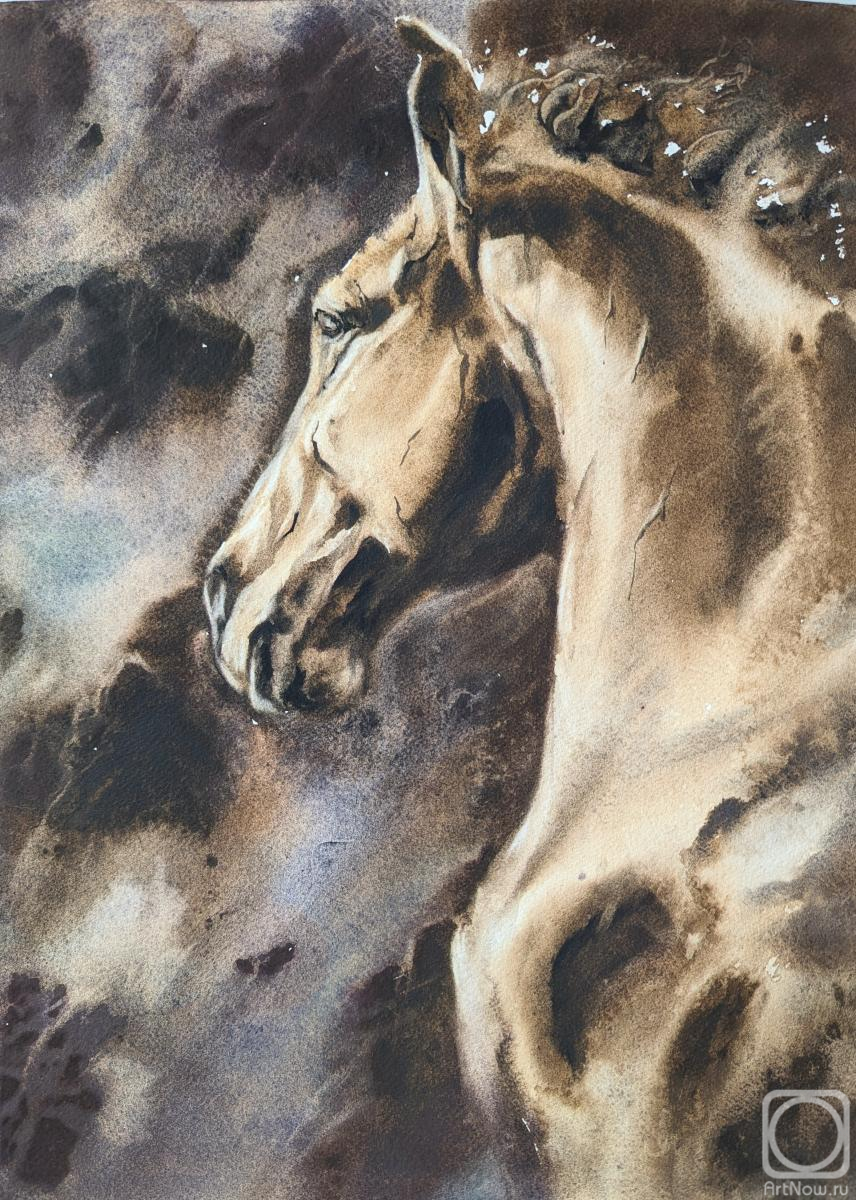 Krivoruchenko Elena. A view from the outside