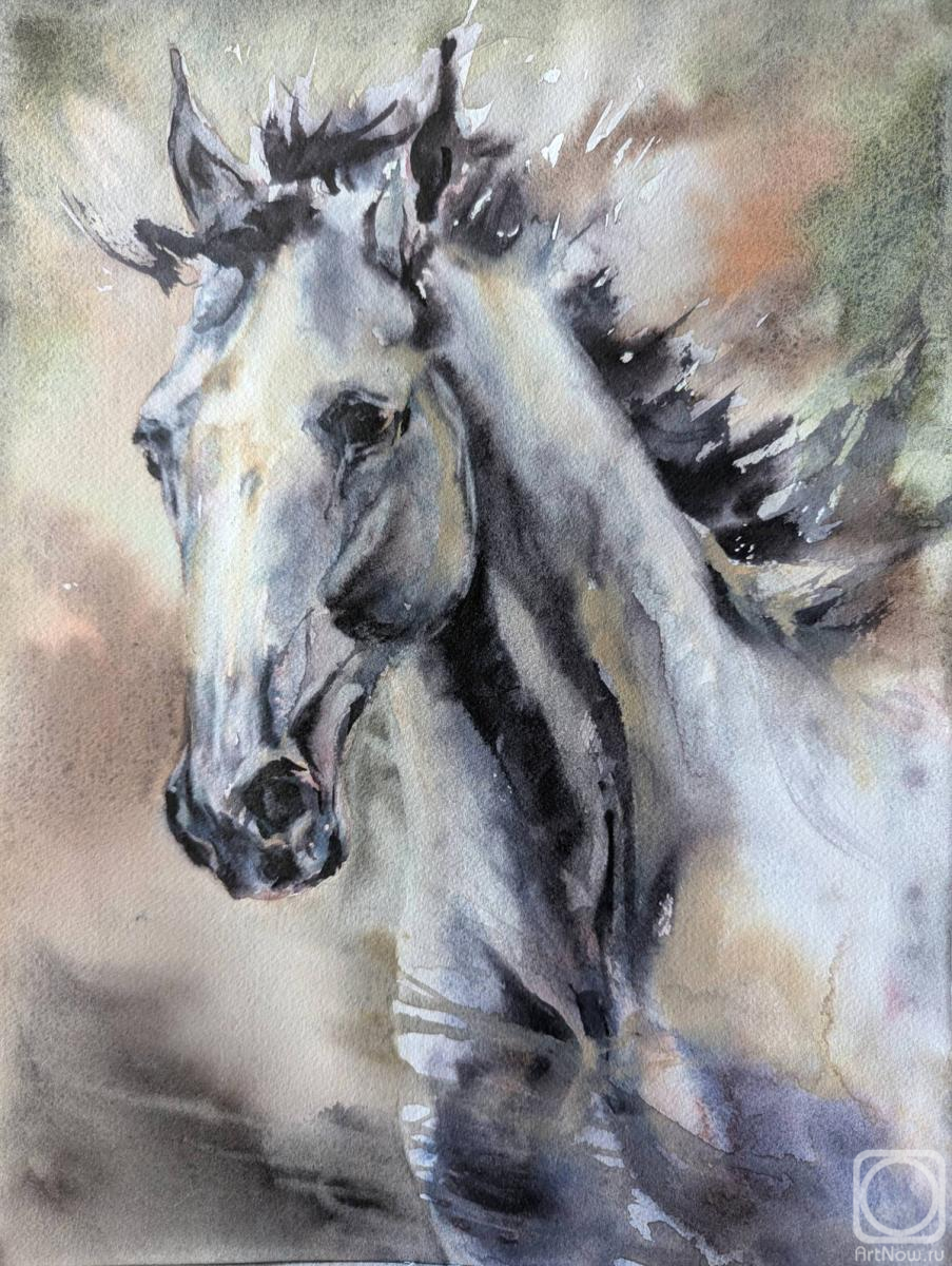 �������. ������������ �����. �� ����