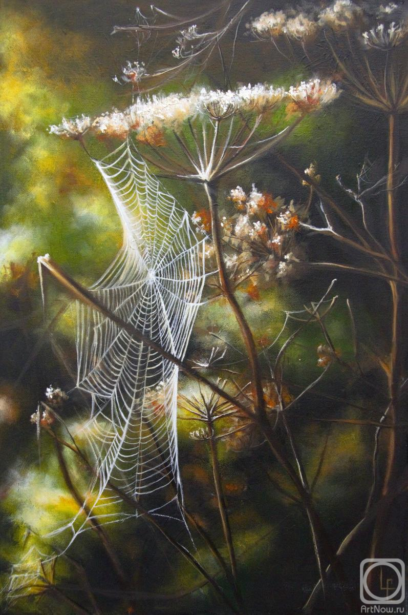 Chernaya Ekaterina. Untitled