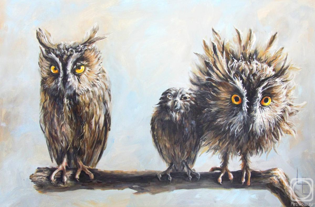 ������� ������ �� ������. ������ ���������. 3 ���������