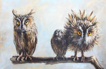 3 ��������� (��������). ������ ���������