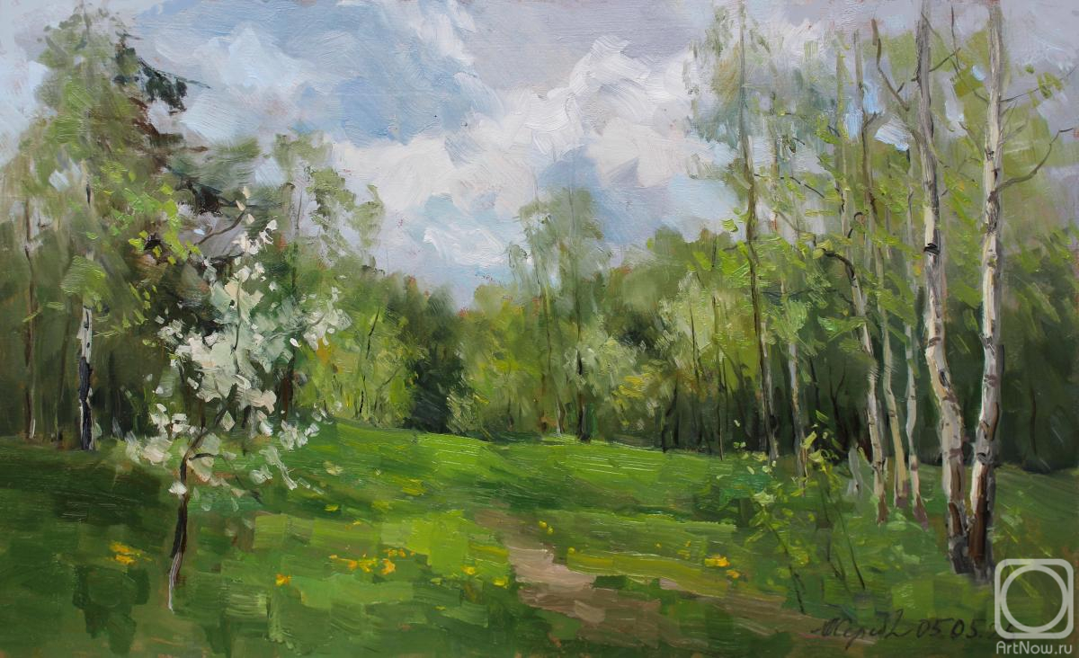 �������. �������������� ������. �������� ������� ����