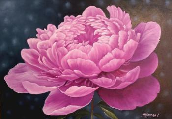 ������� ���������� �����