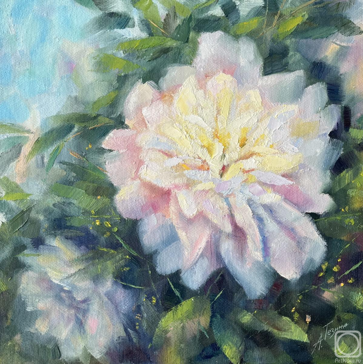 ������� ������ �� ������. ������ ����. ������ ����