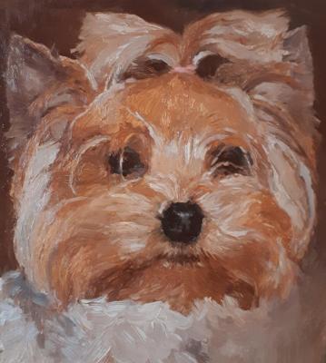 ������� ��������� ���������. �������� ���������