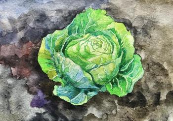 �������