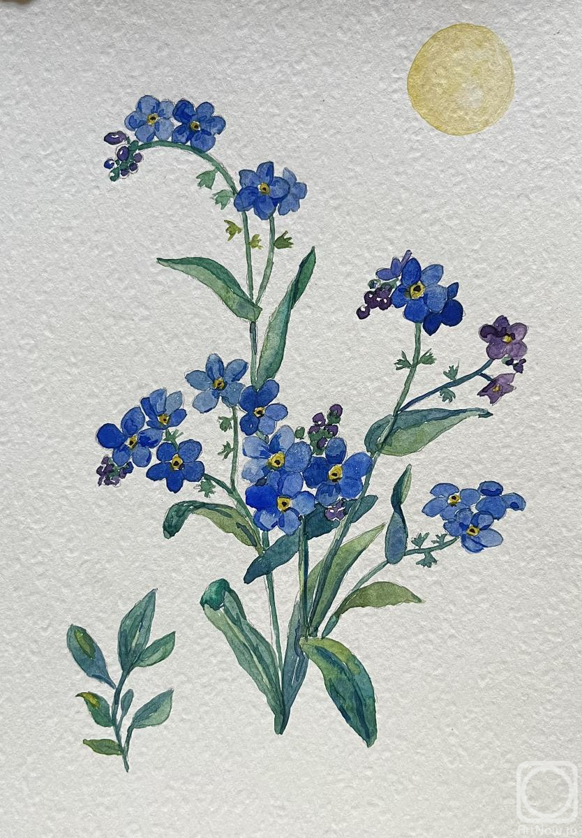 �������. ���������� �������. ���������