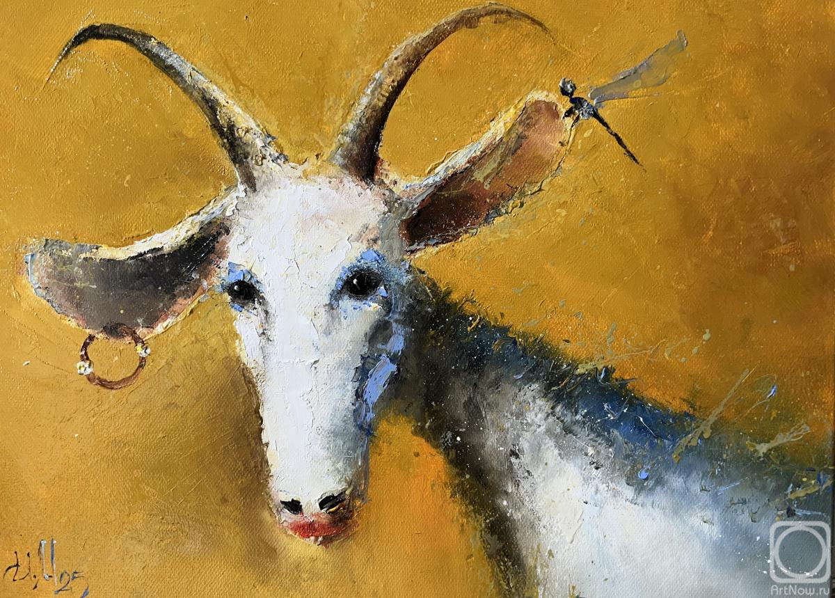 ������� ������ �� ������. �������� �����. �������� ����.  ������ ����������