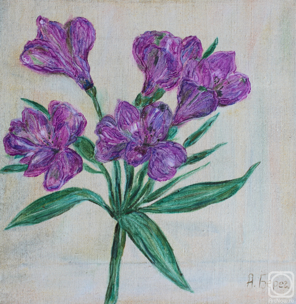 Beregovoy Aleksey. Lily of the Incas