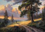 Балакирев Андрей.<br>Картина «Вечерний пейзаж»