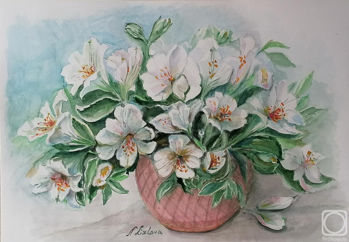 �������. ������� �������. ������������ � �������