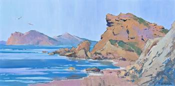 Seagulls by Agate Beach. Shevchuk Mariya