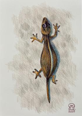 ������� �������. �������