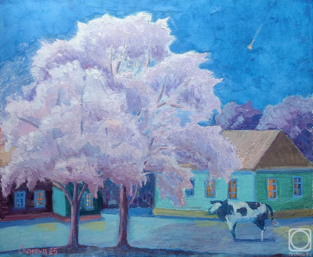 ������� ������ �� ������. ������ ������. �������� ������